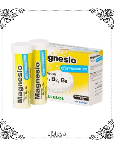 Vallesol Magnesio+B1+B2+B6 24 comprimidos efervescentes