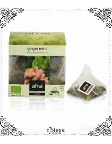 Alma home ginger mint eco 15 pirámides