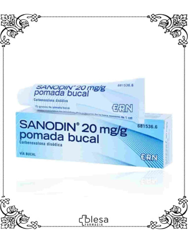 Ern sanodin 20 mg/g pomada bucal 15 gr