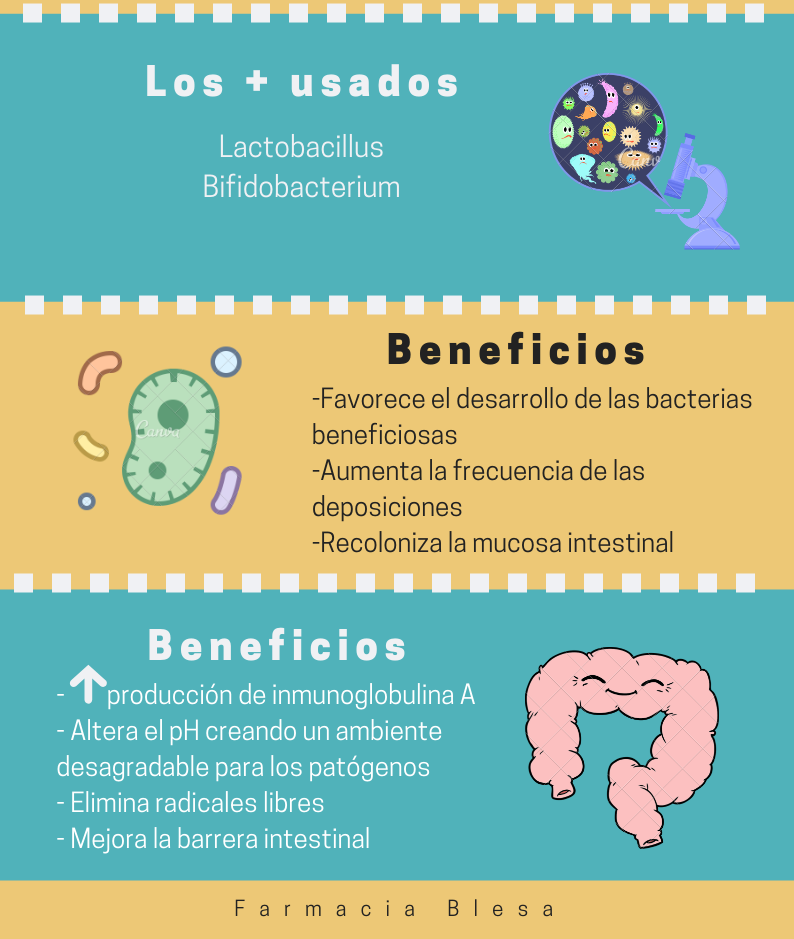 ¿Es bueno tomar probióticos? - Blog de Blesa Farmacia